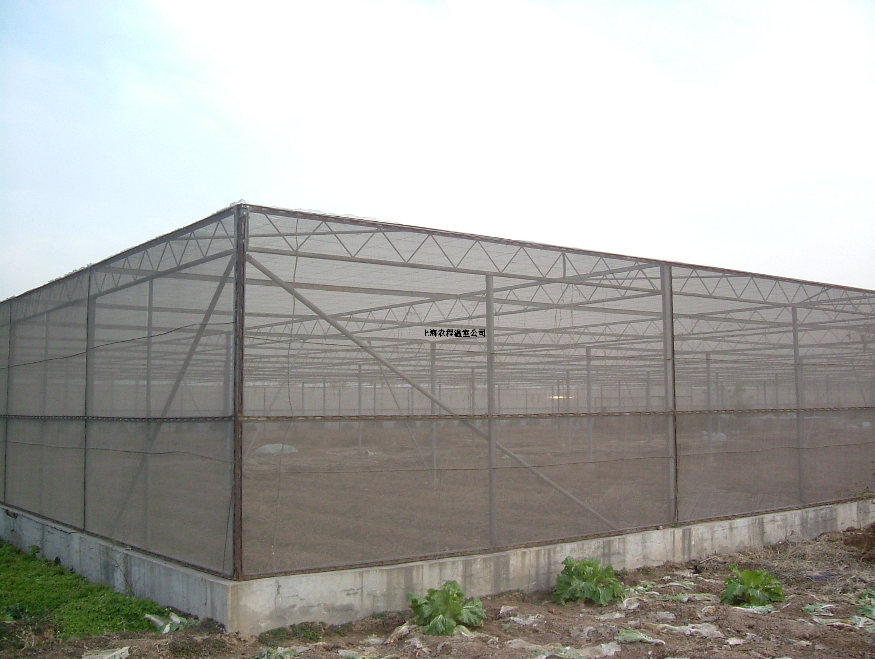 �Ϻ��r(n��ng)��