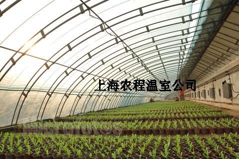 �Ϻ��r(n��ng)��