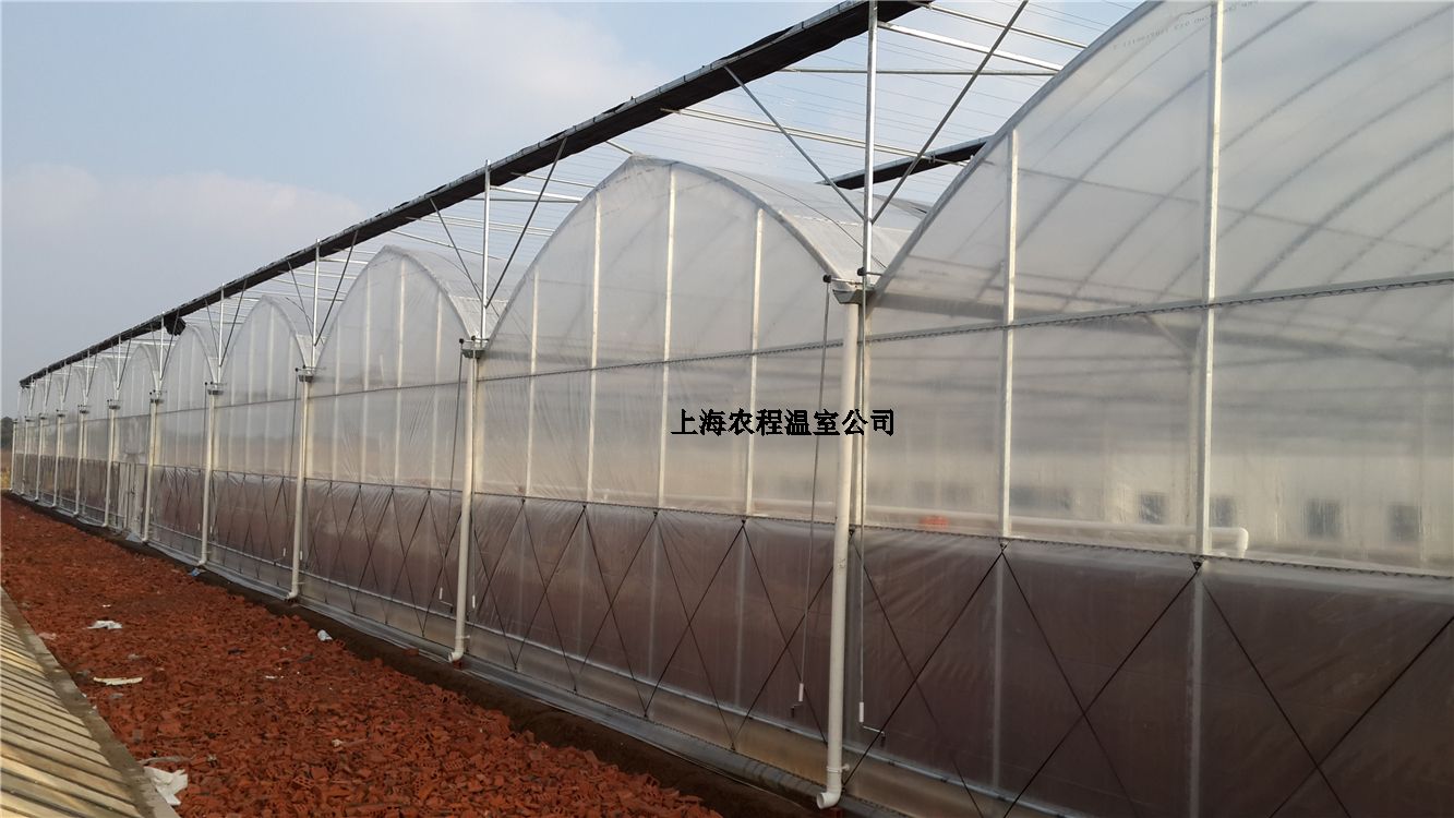 �Ϻ��r(n��ng)��